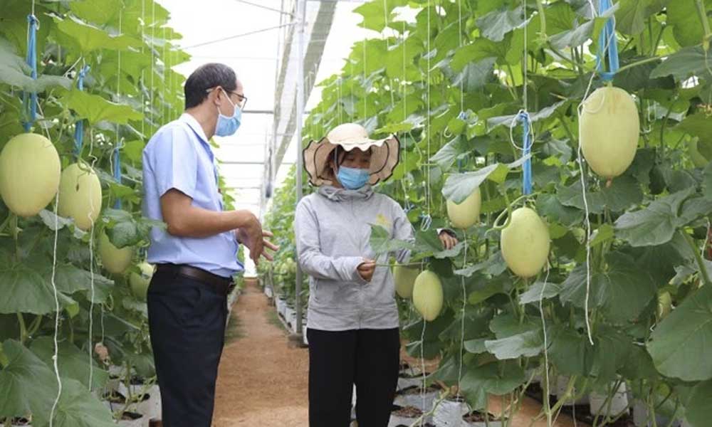 Vietnam, Austria boost cooperation in smart agriculture